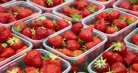 提高抵抗力吃什么保健品