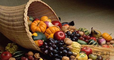 降血脂最好的食物