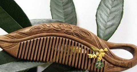 脱发怎么治疗最好