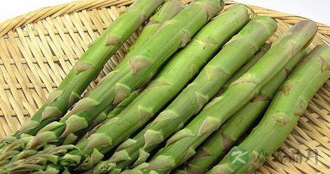 大人吃什么能增强抵抗力