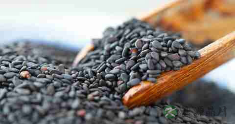 脂溢性脱发饮食注意什么