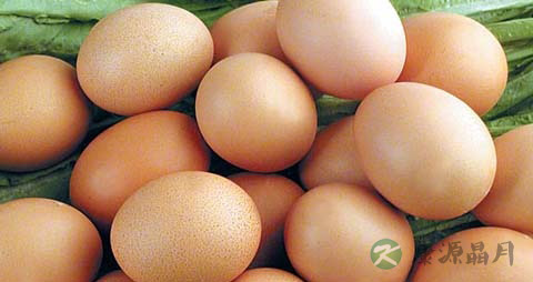 牙齿疼吃什么食物好