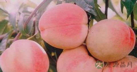 吃什么保养头发