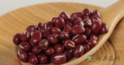 湿气重的吃什么