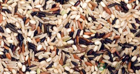 大米长虫还能吃吗