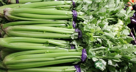 吃什么能让头发快速长长