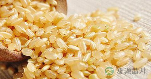 生发食物有哪些