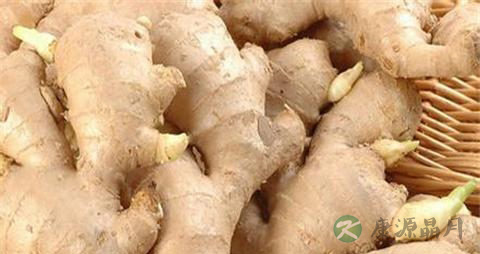 发芽的姜还能吃吗