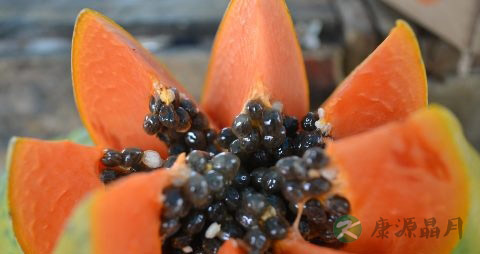 木瓜银耳可以每天吃吗