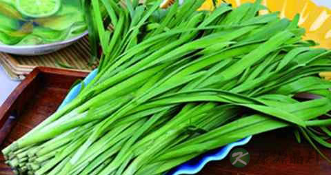 吃什么补肾固齿