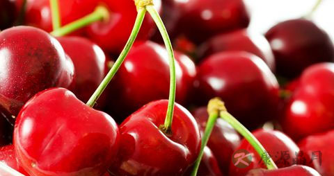 喝什么茶可以润喉