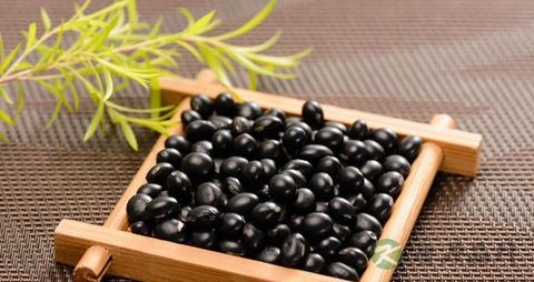 风湿吃什么能缓解