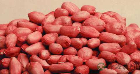 慢性咽炎能吃花生吗