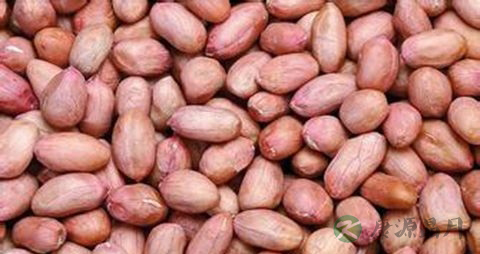 吃什么长记忆力