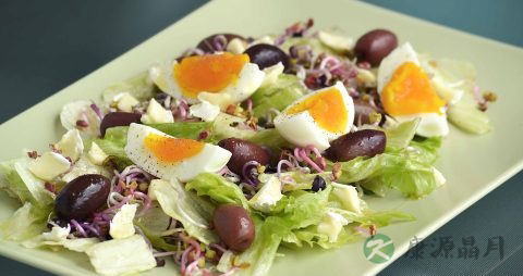 健康饮食金字塔是怎样的