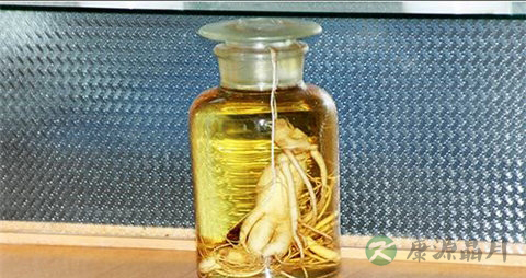 西洋参泡酒的作用与功效