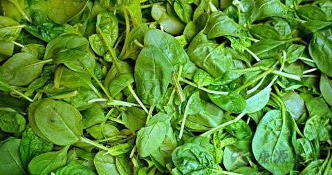 高血压吃什么好降压