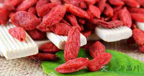 清肝明目枸杞茶