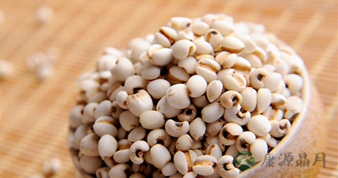 薏米生虫了还能吃吗