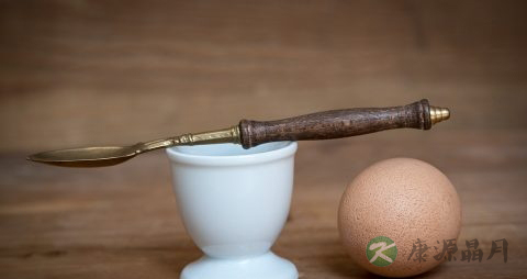 含有丰富蛋白质的食物