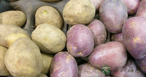 土豆发绿了还能吃吗