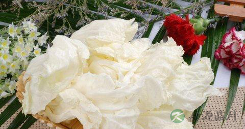 大白菜帮比叶更营养 大白菜帮比叶更营养