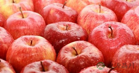 治疗油脂性脱发的方法