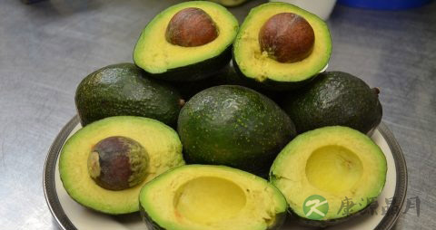 牛油果可以每天吃吗