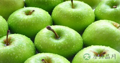 牙齿松动吃什么食物