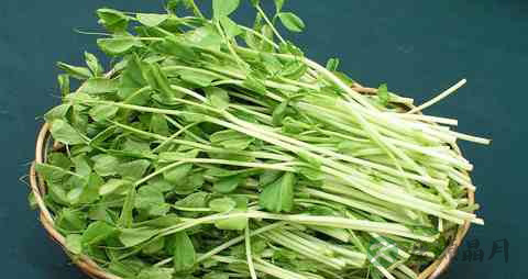 护肝明目的食物