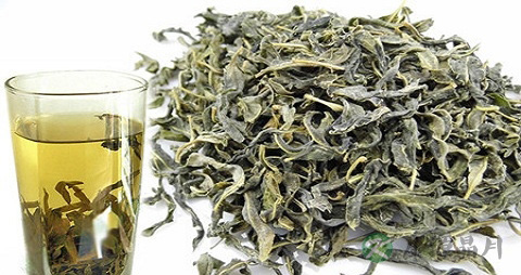 罗布麻茶能降血压吗