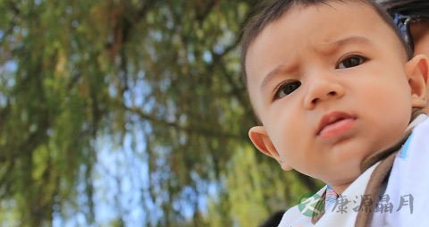 学生吃什么提高记忆力