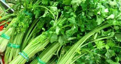 哪些蔬菜清热解毒