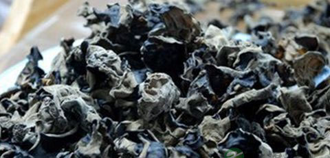 预防血栓吃什么好