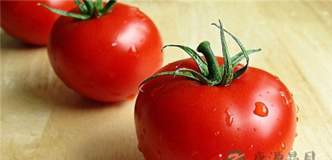 番茄的作用