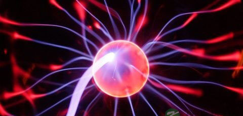 生长因子是什么