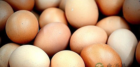 产妇酒糟鸡蛋可以每天吃吗