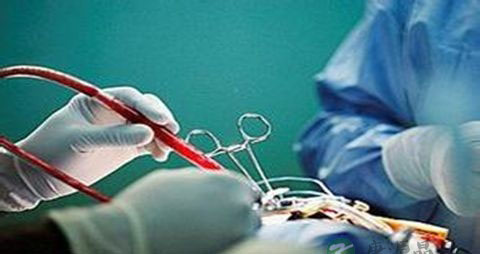 骨髓移植后的饮食