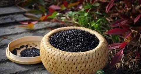 阴虚补肾的食物有哪些