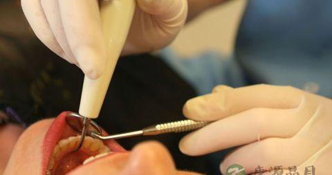 长智齿牙龈肿痛吃什么