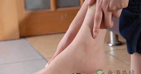 脚骨折吃什么补品