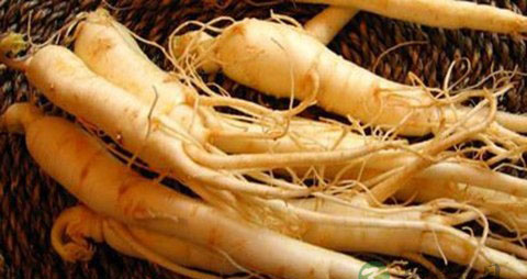 清热解毒食物有哪些