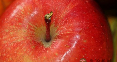 苹果有消暑解渴的功效吗