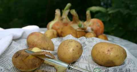 土豆发芽了还能吃吗