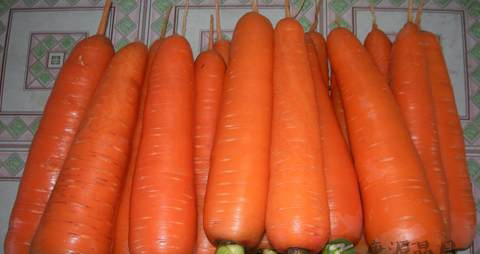 吃什么可以养肝明目