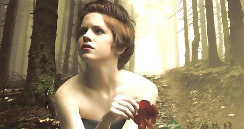 吃什么能让头发变黄