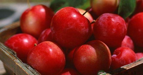 怎样使牙齿变白