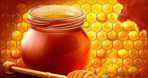 吃什么东西可以让头发变黑