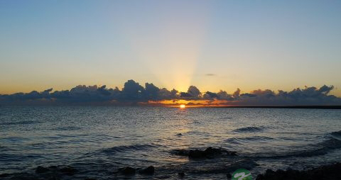 远红外线的作用