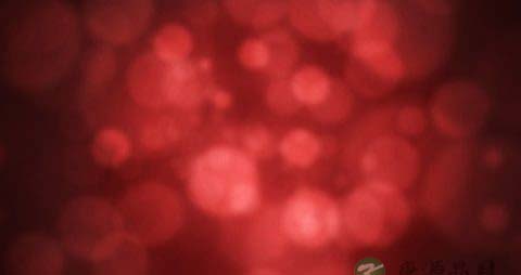 贫血症的饮食疗法